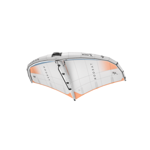 Wing Carbon Boom V2